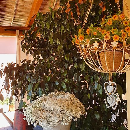 B&B La Vela Chia Ngoại thất bức ảnh