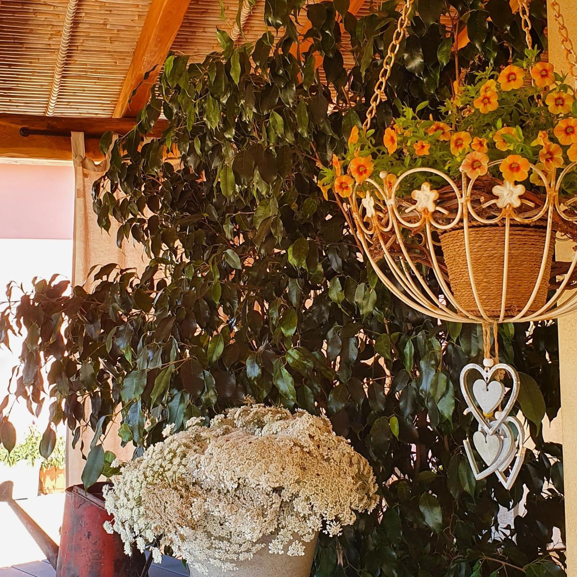 B&B La Vela Chia Ngoại thất bức ảnh